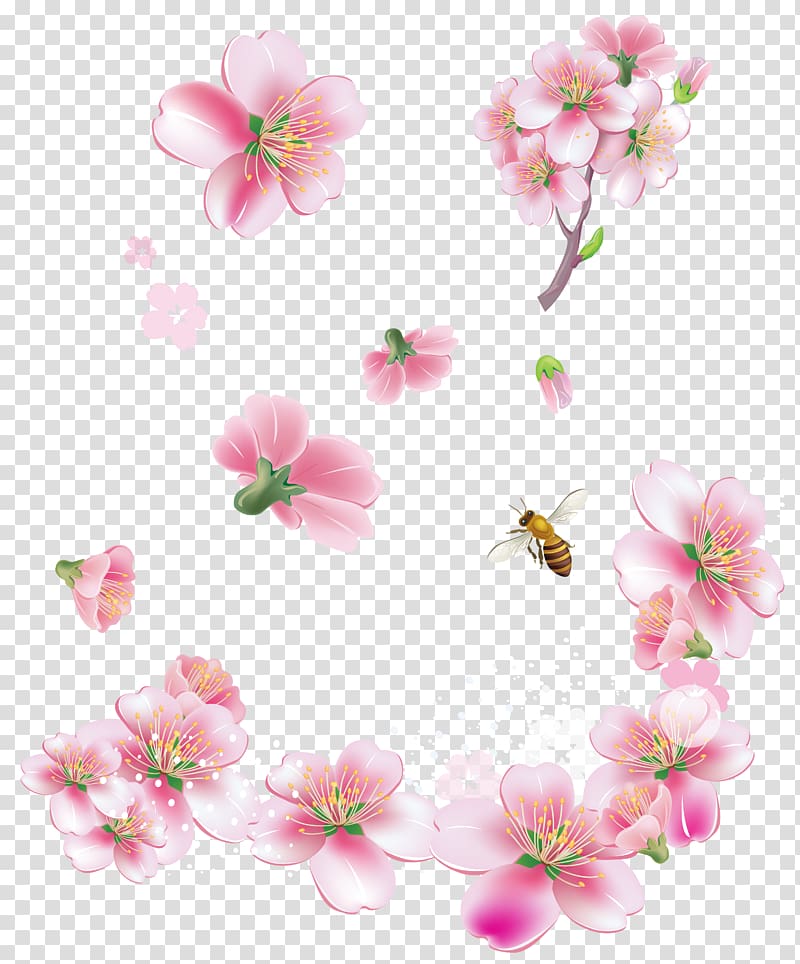 Pink flowers , Spring Pink Trees Flowers , pink cherry blossom flower transparent background PNG clipart
