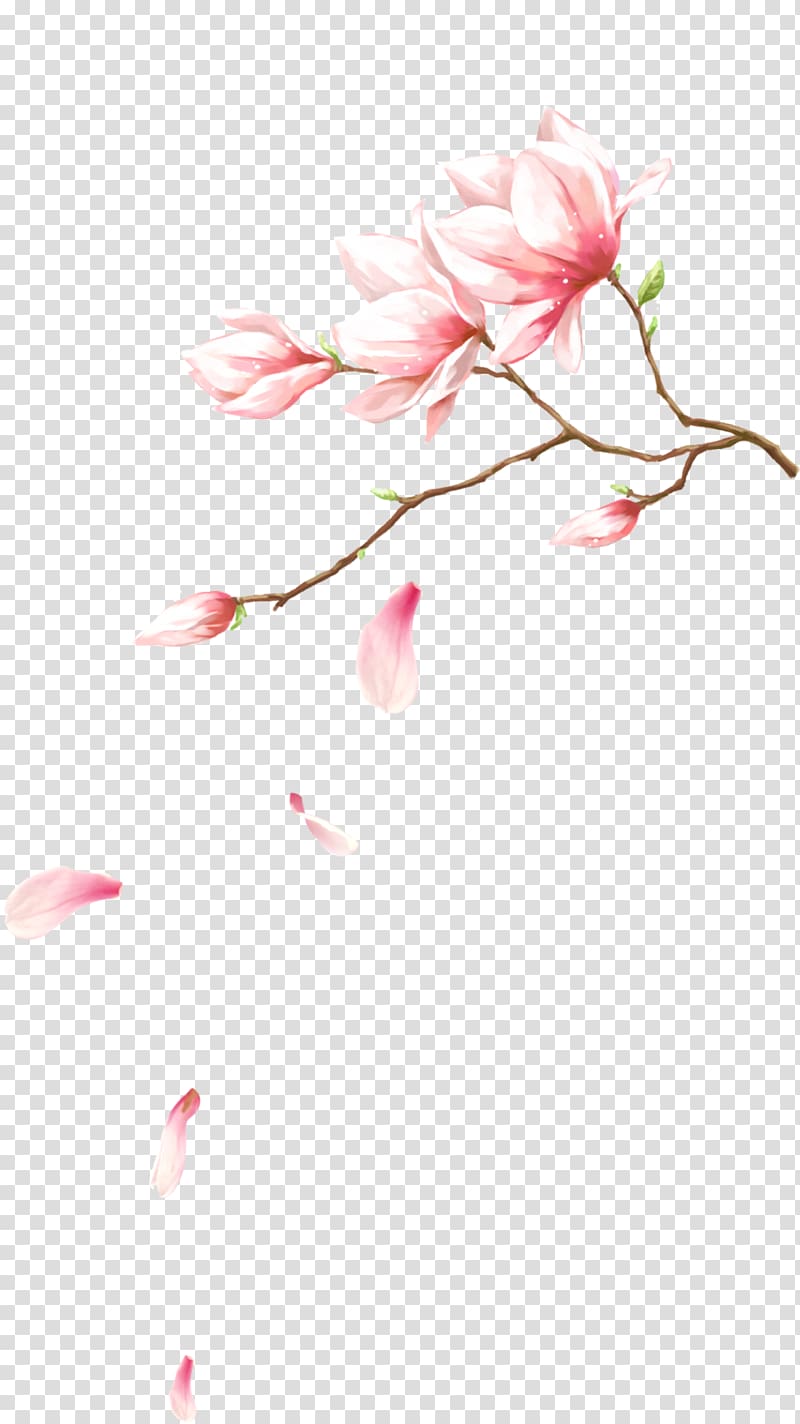 Pink flowers Petal Computer file, Flowers with petals falling on, pink petaled flowers illustration transparent background PNG clipart