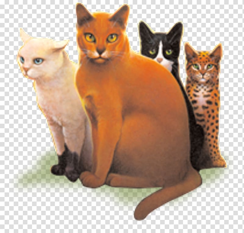 Code of the Clans Cats of the Clans Warriors Erin Hunter, Cat transparent background PNG clipart