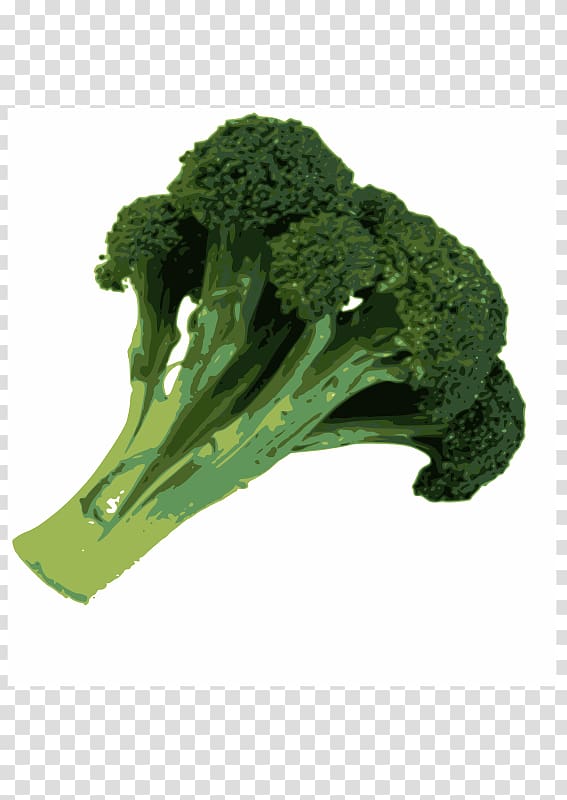 Broccoli slaw Vegetable , broccoli transparent background PNG clipart