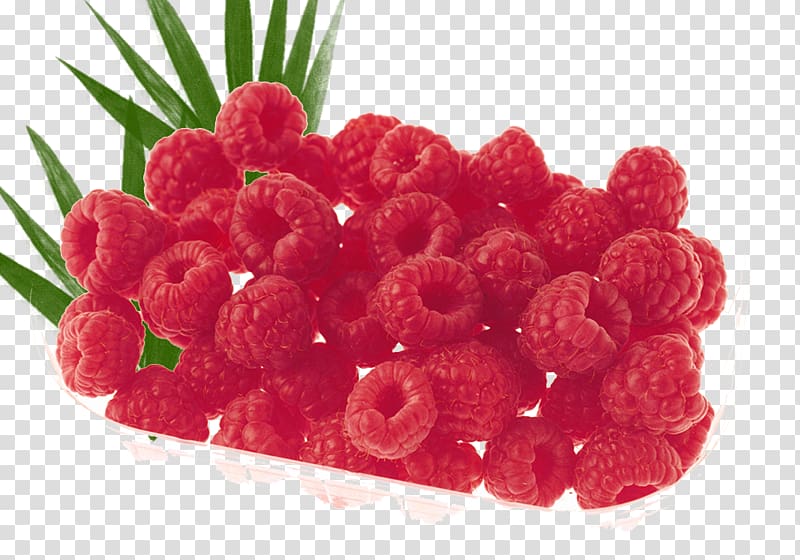 Mulberry fruit platter Christmas transparent background PNG clipart