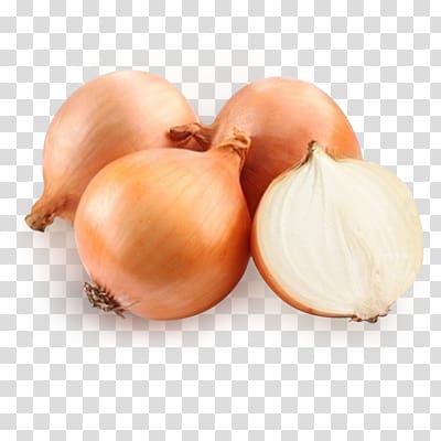 Onion transparent background PNG clipart