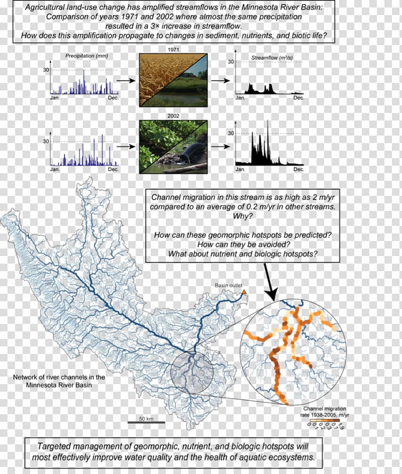 Tree Water resources Diagram Line, tree transparent background PNG clipart