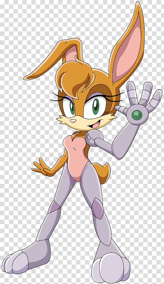 Tails Sonic Forces Princess Sally Acorn Sonic Chaos Bunnie Rabbot