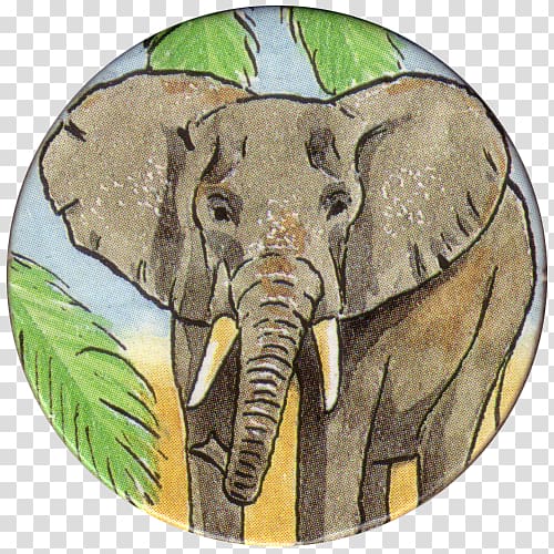 Indian elephant African elephant Wildlife Elephantidae, India transparent background PNG clipart