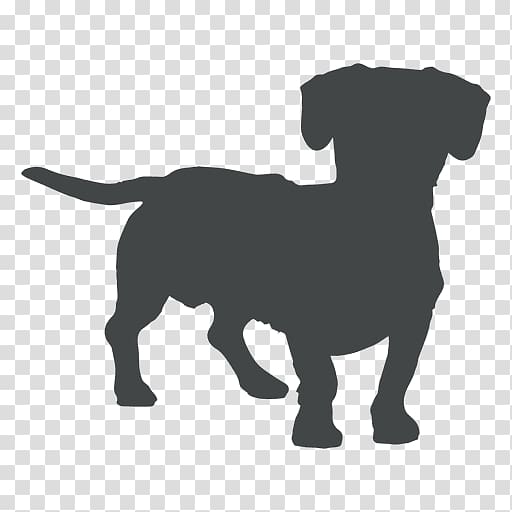 Pug Dachshund Portable Network Graphics , cao cao transparent background PNG clipart