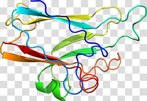 Line Point Organism , line transparent background PNG clipart thumbnail