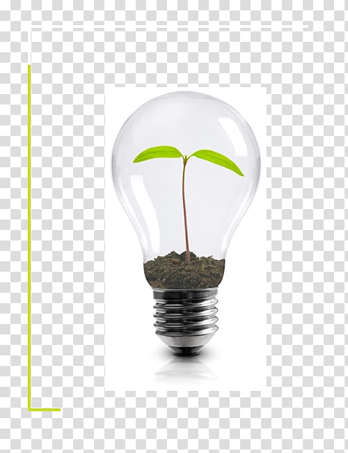 Incandescent light bulb Energy conservation Innovation Organization, light transparent background PNG clipart