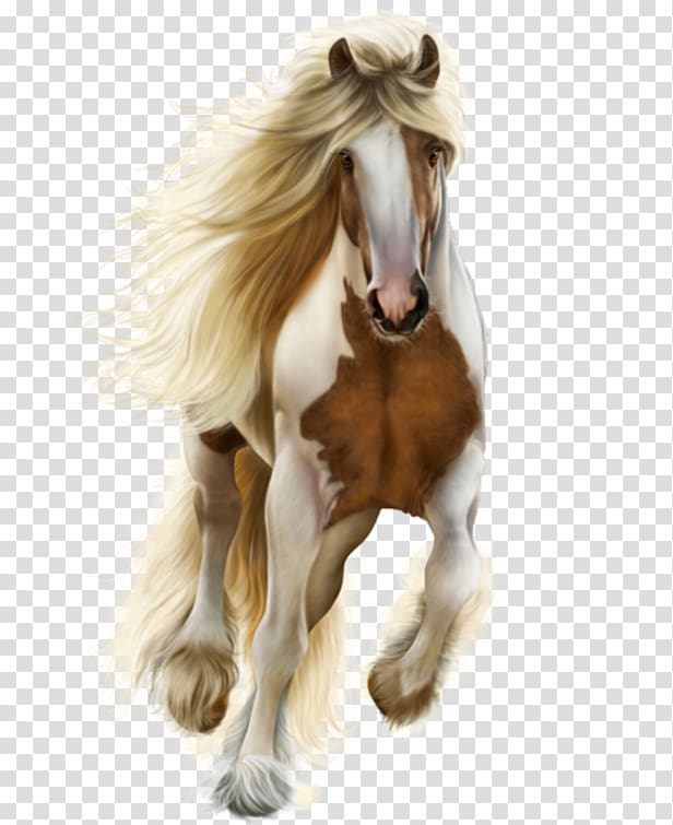 Mustang Foal Stallion Pony, mustang transparent background PNG clipart