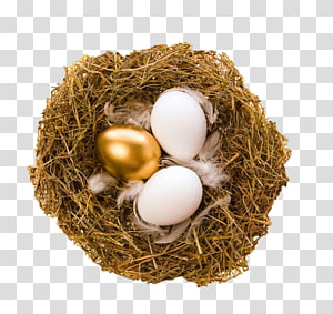 Golden Eggs transparent PNG - StickPNG