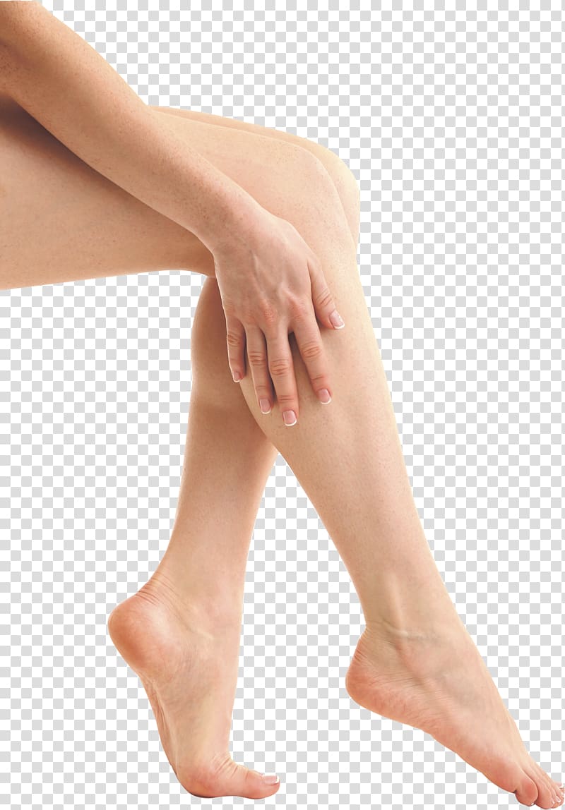 Legs transparent background PNG clipart
