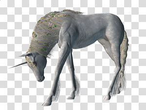 Unicorn , Unicorm transparent background PNG clipart thumbnail