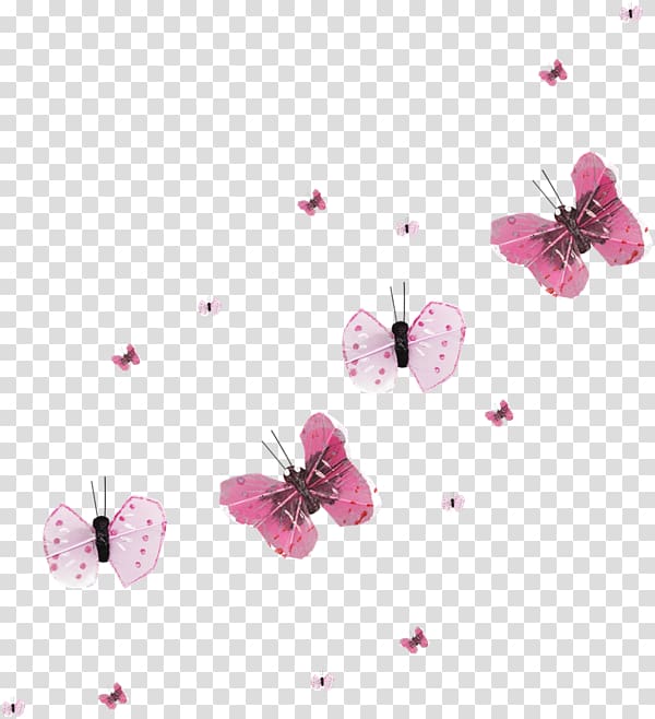 Butterfly ST.AU.150 MIN.V.UNC.NR AD Desktop , Blood on The dance floor transparent background PNG clipart