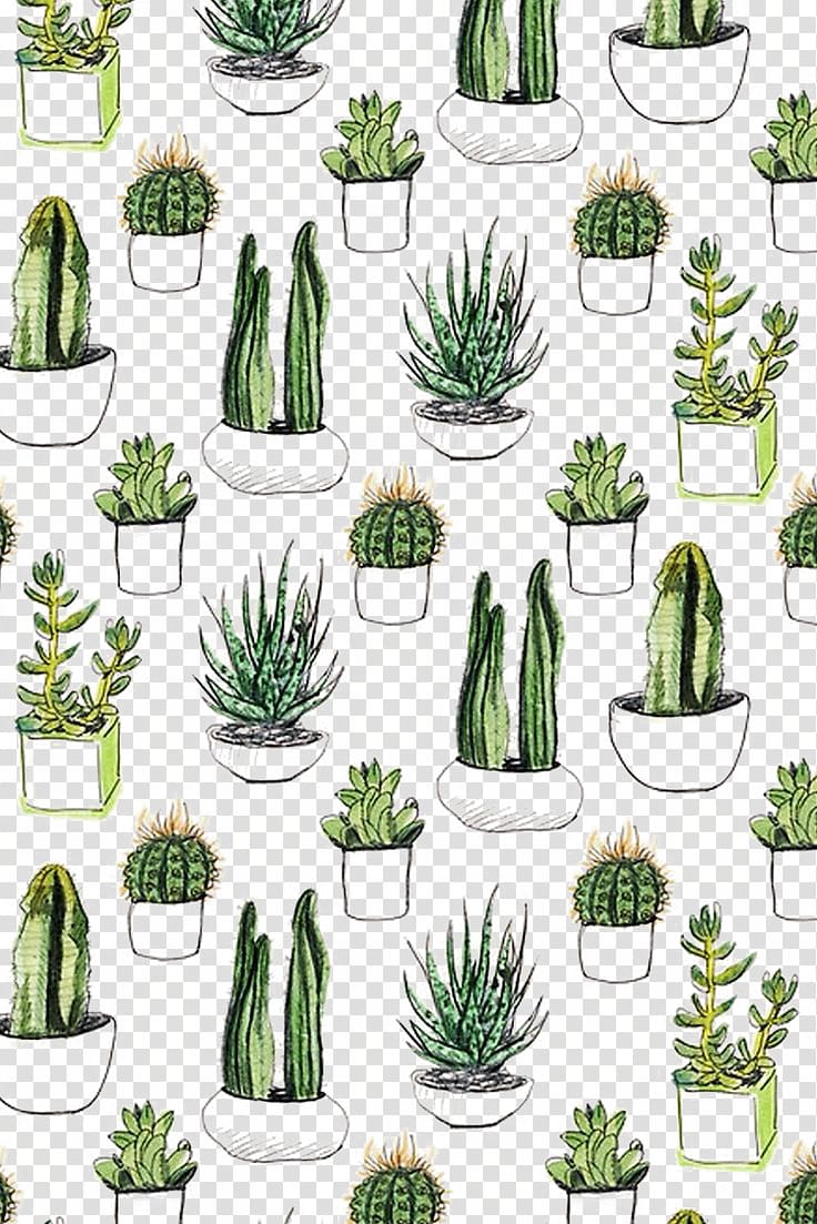 cacti illustration, Paper Cactaceae Cacti & Succulents Printmaking Succulent plant, Cactus background shading transparent background PNG clipart