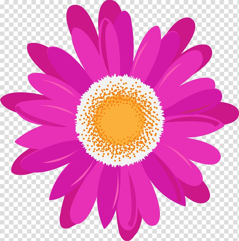 Daisy family Magenta Pink Purple Violet, camomile transparent background PNG clipart