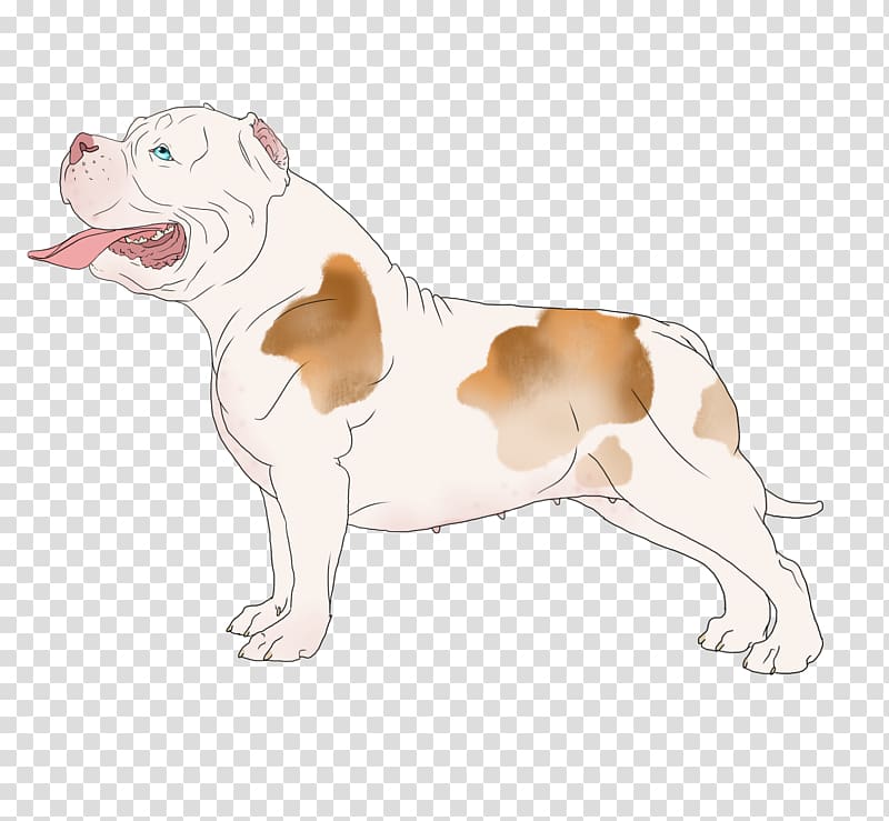 Bulldog Dog breed Non-sporting group Breed group (dog) Snout, dog pens crates transparent background PNG clipart