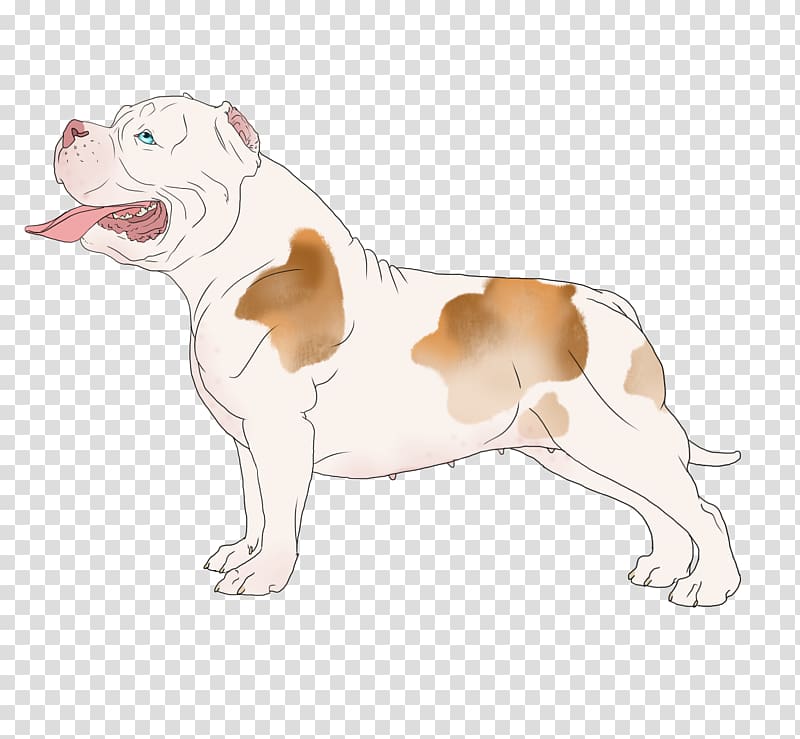 Bulldog Dog breed Non-sporting group Breed group (dog) Snout, schutzhund transparent background PNG clipart
