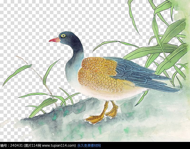Duck Chinese painting Gongbi Bird-and-flower painting, Pond side of the ducks transparent background PNG clipart