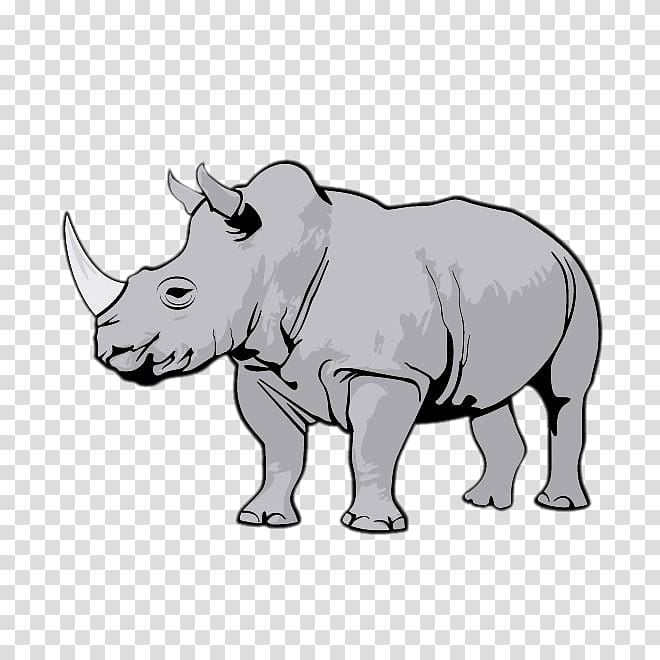 gray rhinoceros , Rhinoceros , Rhino Creative transparent background PNG clipart