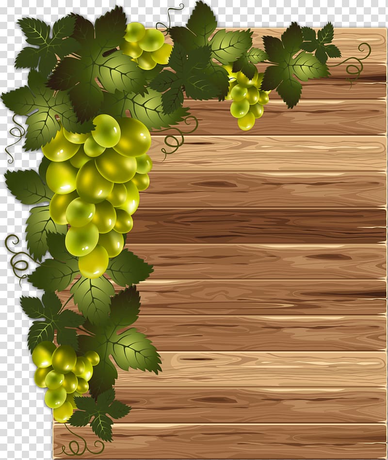 Common Grape Vine Grape leaves , grape transparent background PNG clipart