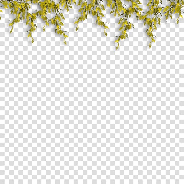 Software PaintShop Pro, Yellow green fresh bones border texture transparent background PNG clipart