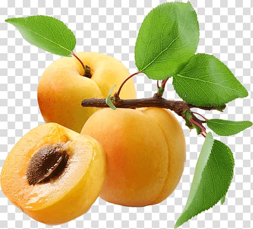 three peach fruits, Apricot Trio transparent background PNG clipart