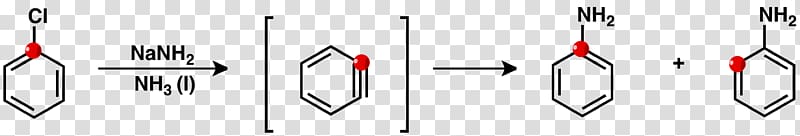 Aryne Chlorobenzene Aniline Chemistry Chemical reaction, others transparent background PNG clipart