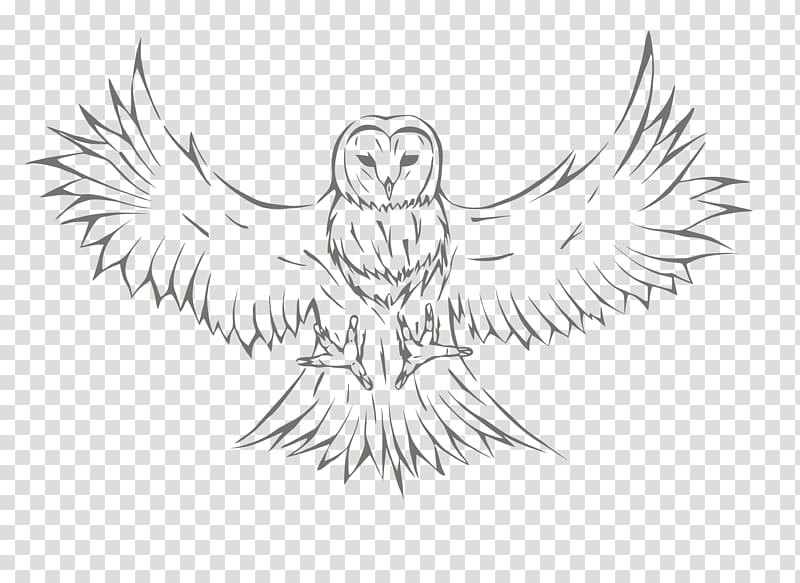 Owl Sketch Drawing Graphics, owl transparent background PNG clipart