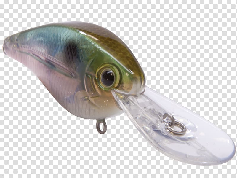 Fishing Baits & Lures Oily fish Tournament, Fishing transparent background PNG clipart