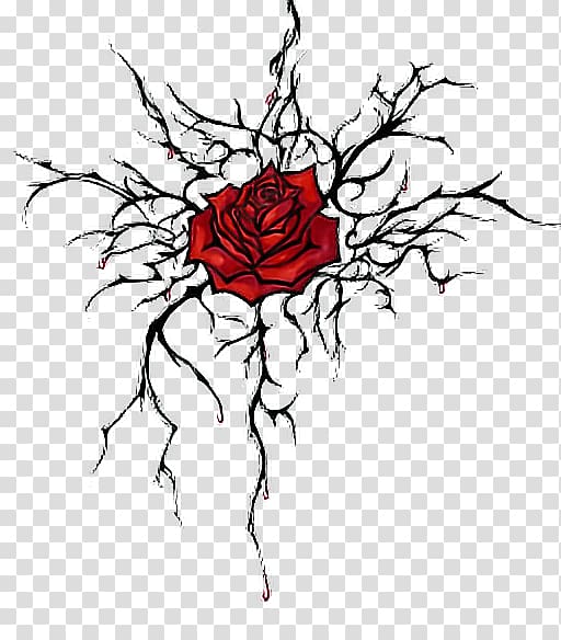 Thorns, spines, and prickles Drawing Rose Sketch, rose transparent background PNG clipart