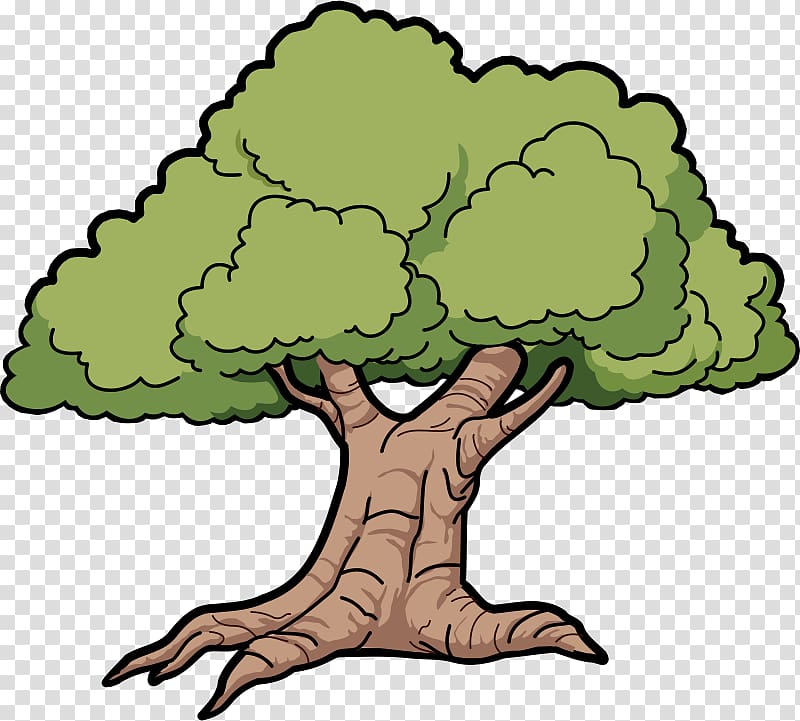 Tree Cartoon Drawing , Green Forest Trees transparent background PNG clipart