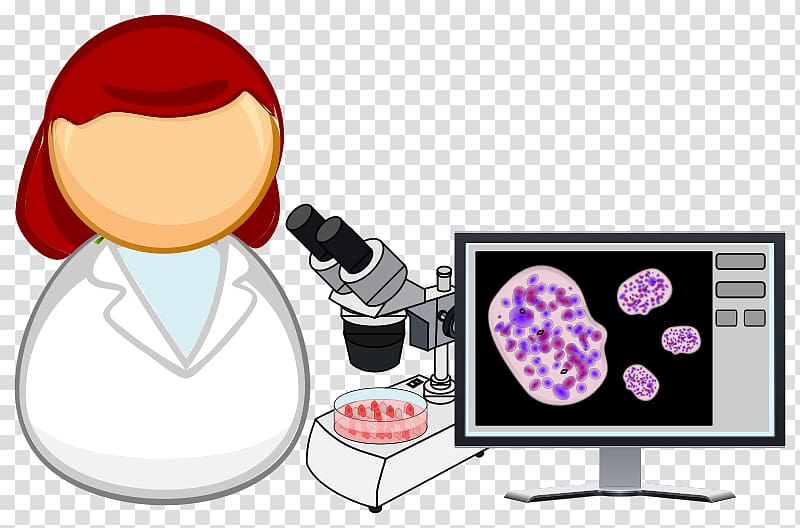Molecular biology Laboratory , food processing transparent background PNG clipart