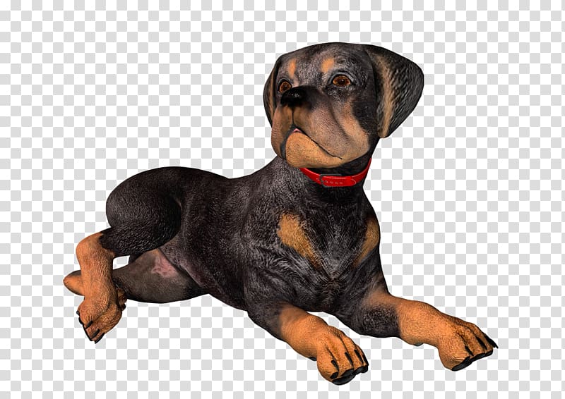 Transylvanian Hound Black and Tan Coonhound Austrian Black and Tan Hound Smaland Hound German Pinscher, Dog transparent background PNG clipart