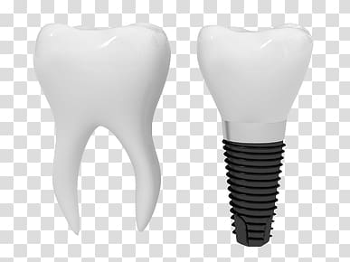 Teeth transparent background PNG clipart