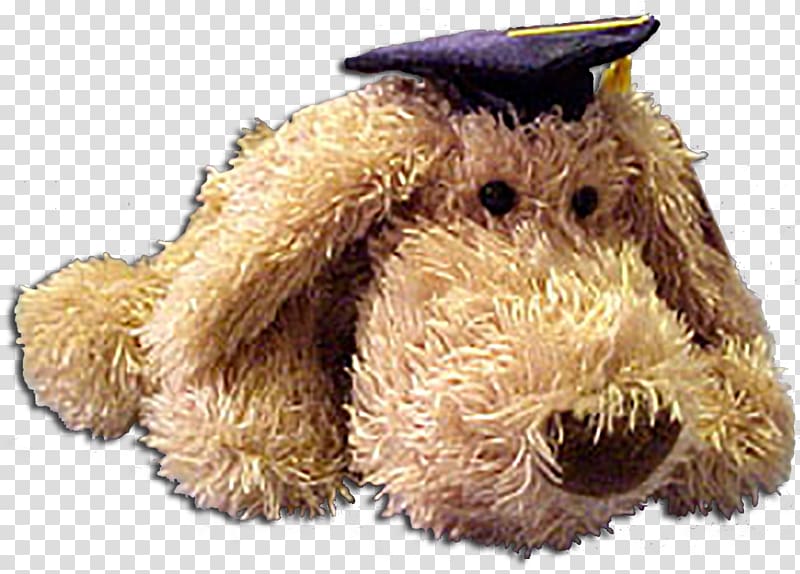 Snout Stuffed Animals & Cuddly Toys, golden graduation cap transparent background PNG clipart