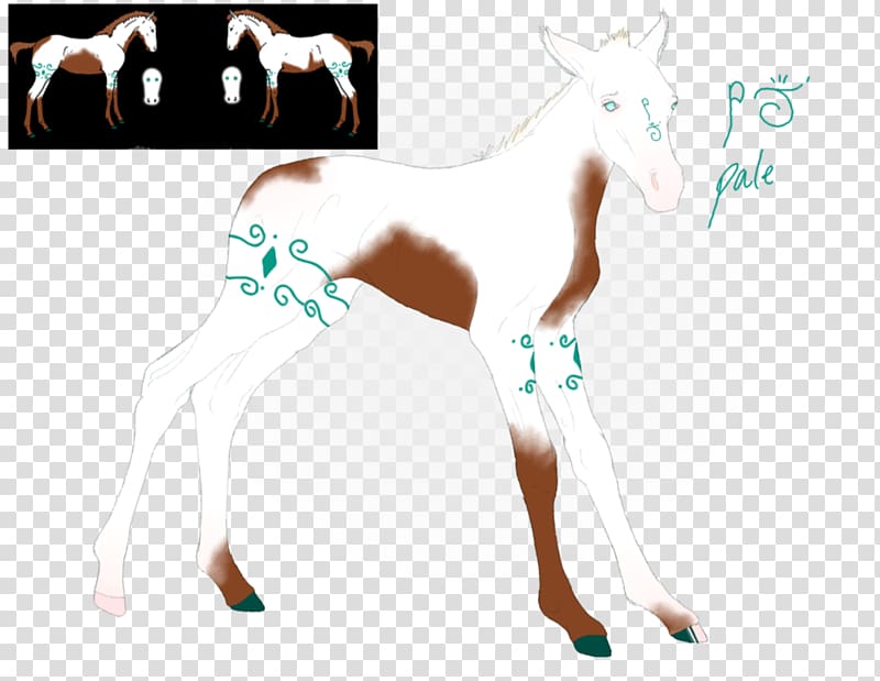 Horse Cattle Giraffe Human leg Deer, pale horses transparent background PNG clipart