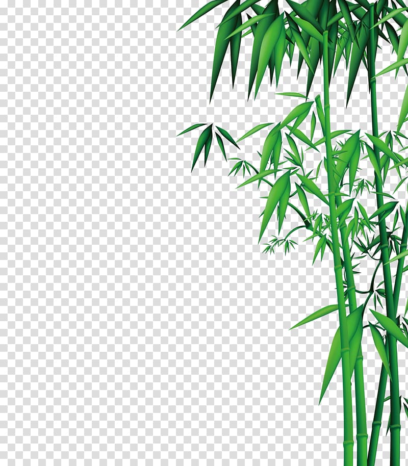 green bamboo plant illustration, Bamboo , Bamboo transparent background PNG clipart