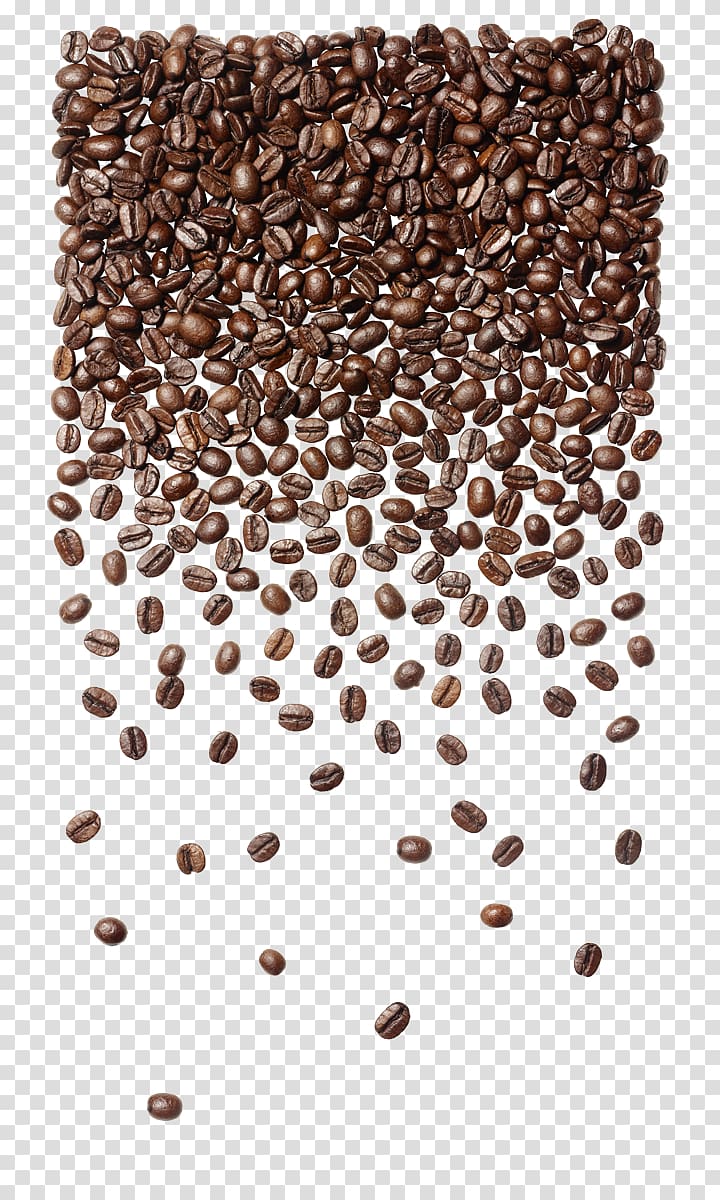 coffee beans illustration, Coffee bean Cafe Seattle\'s Best Coffee Coffee bag, coffe been transparent background PNG clipart