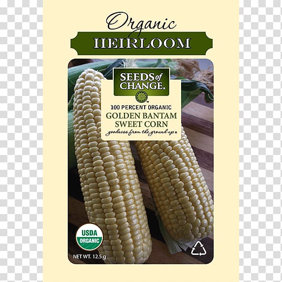 Sweet corn Organic food Popcorn Golden Bantam Corn kernel, corn seed transparent background PNG clipart