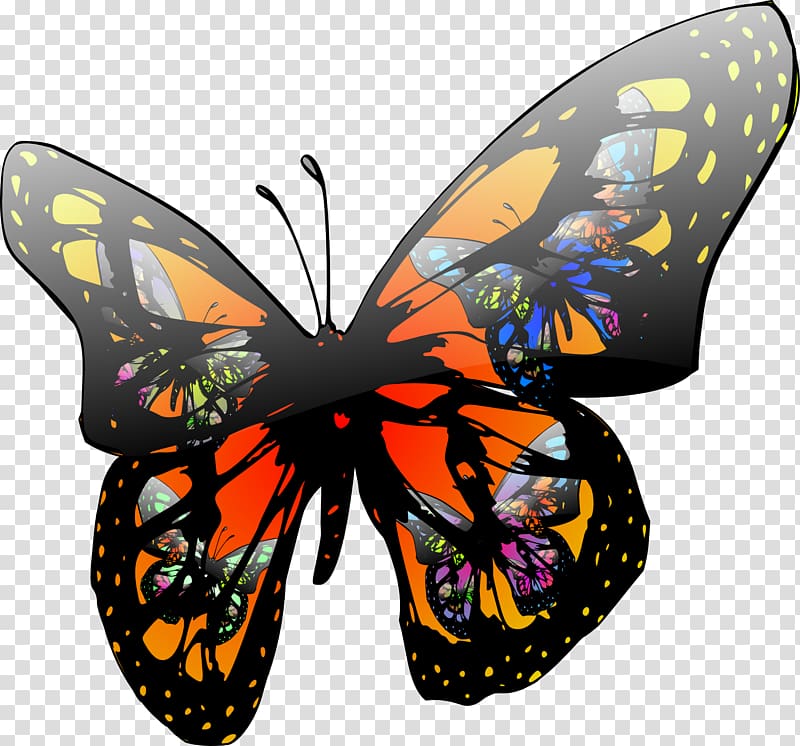 Butterfly effect Insect Chaos theory , butterfly transparent background PNG clipart