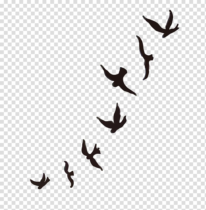 silhouette of birds illustration, Mountain bluebird Tattoo Sparrow Cygnini, flock of birds transparent background PNG clipart