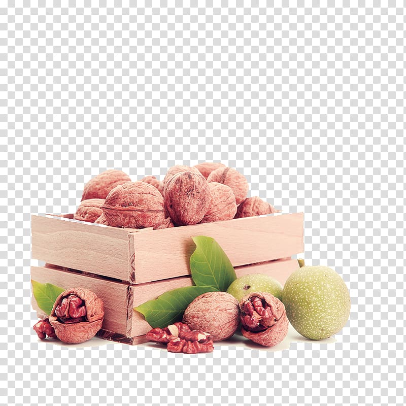 Pecan Walnut Juglans, walnut transparent background PNG clipart