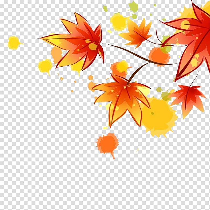 Autumn Maple leaf , Autumn leaves transparent background PNG clipart