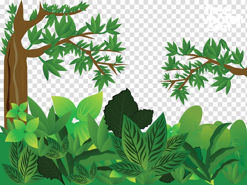 green leaf plant illustration, Forest Euclidean , Green jungle transparent background PNG clipart