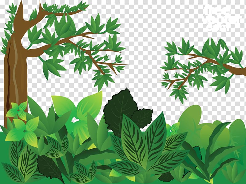 Green Leaf Plant Illustration Forest Euclidean Green Jungle Transparent Background Png