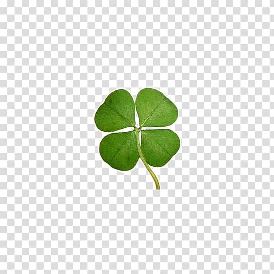 Four-leaf clover Luck Keychain, Clover transparent background PNG clipart