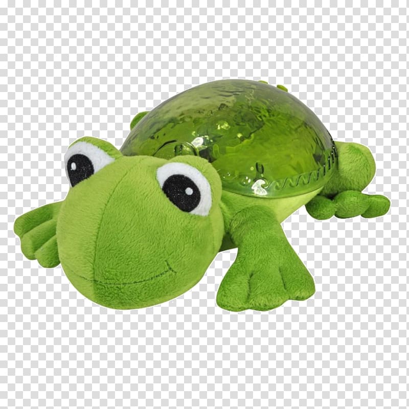 Frog Amazon.com Turtle Child Light, tranquil transparent background PNG clipart