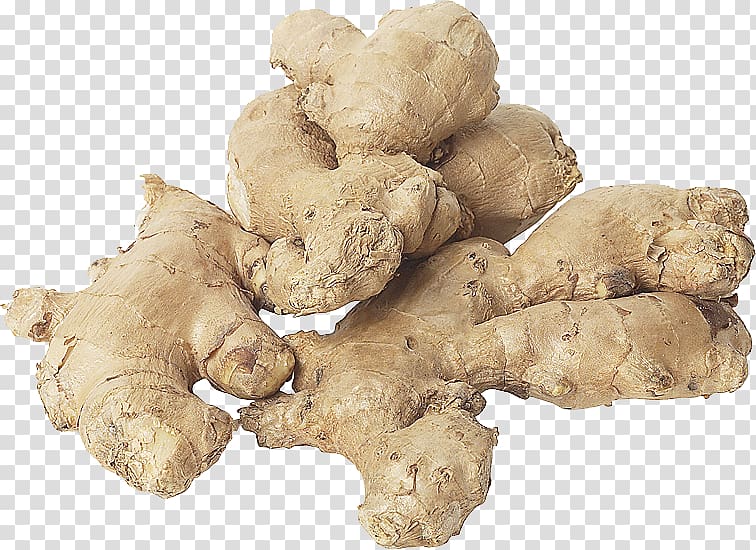 Ginger transparent background PNG clipart