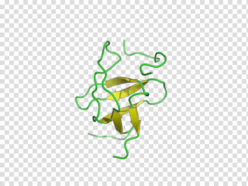 Frog , frog transparent background PNG clipart