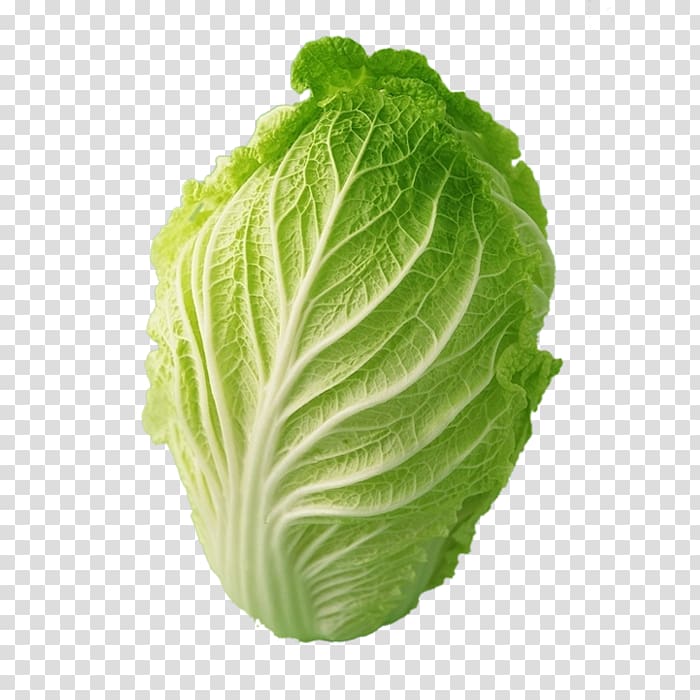 Chinese cabbage Choy sum Vegetable, Cabbage material transparent background PNG clipart